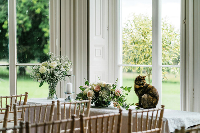 Pets at weddings are welcome here at Penton Park where we pride ourselves on our flexible, welcoming and friendly approach. 