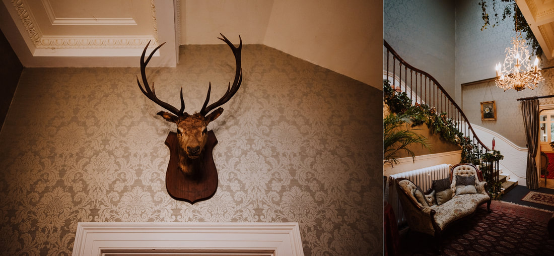 Stag's head in hallway and staircase with chandelier at Penton Park